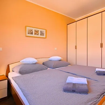 Apartament Daris Buje